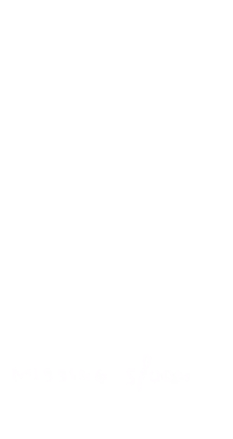 Logo for Missing Spoon